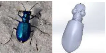 Figure 3. Meshes on car body.  