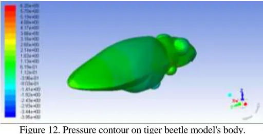 Figure 12. Pressure contour on tiger beetle model's body.  