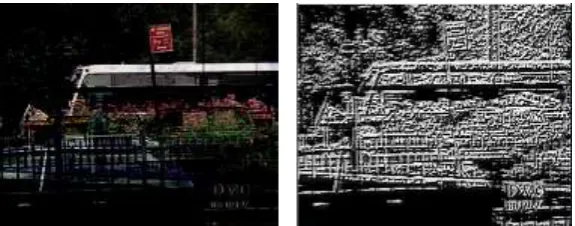 Figure 3. Uniform LBP for BUS video (the 150th frame).     