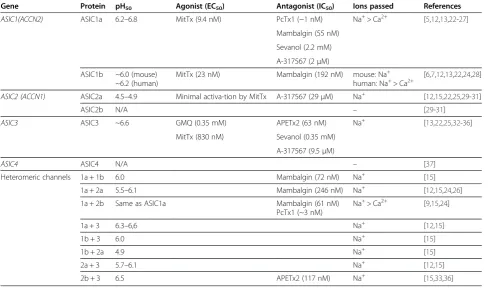 Table 1 Basic channel properties, activators and inhibitors of ASICs