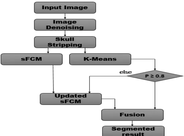 Figure 1.  Flow diagram of the sFCMK algorithm. 