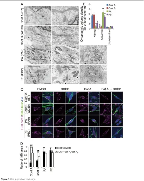 Figure 3 (See legend on next page.)