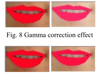 Fig. 8 Gamma correction effect 