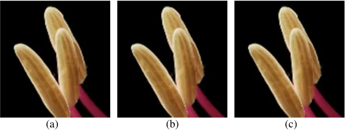 Figure 4. Result of image interpolation. From left to right are:(a) Bi-cubic interpolation; (b) Bilinear  bilinear interpolation,our algorithm reduces the sawtooth phenomenon in the processing fo the edge .The PSNR value and calculating time are shown in T