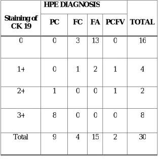 TABLE 8: INTENSITY OF STAINING OF CYTOKERATIN19 IN 