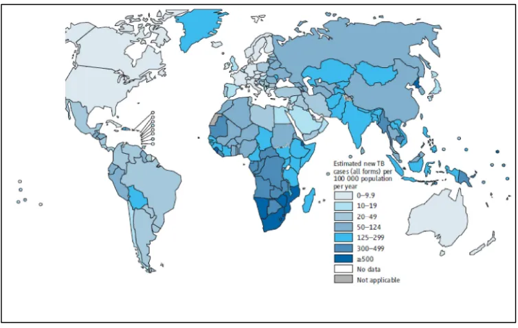 Figure 6: Estimated TB incidence rates, 2013 