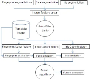 Figure 1 is the process of fusion identification. 