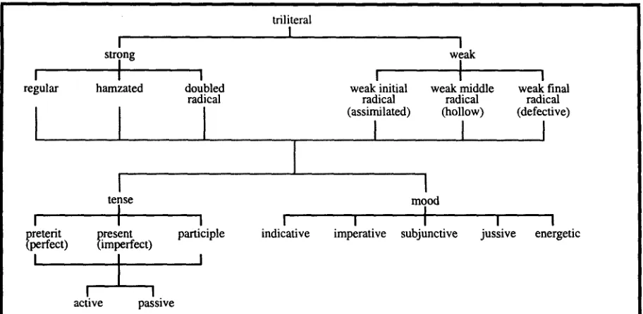 Figure 1: Classification of Arabic Verbal Roots and Mood Tense System 