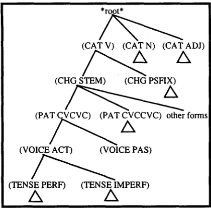 Figure 3 shows the MFH for strong and hollow verbs of pattern CVCVC in the perfect tense, active voice