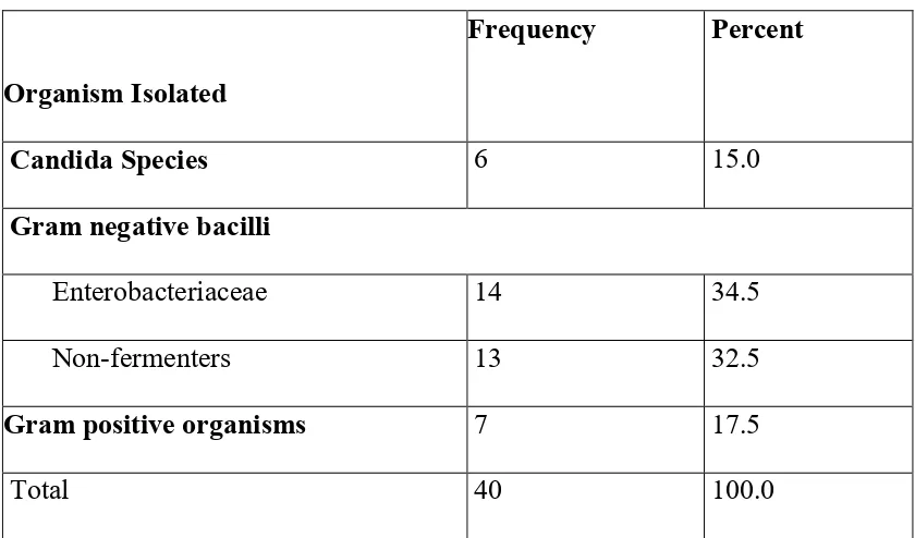 Table 24: Descriptive analysis of Organism isolated in study group (N=40) 