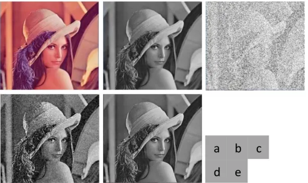 Figure 1: (a) Original Lena Image (b) Conversation from color to Gray (c) Salt & pepper 90% (d) effect after Median filter (e) Proposed method