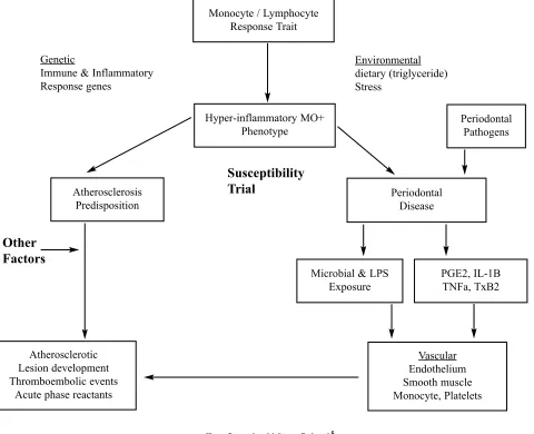 Figure. Proposed model. Source: Beck et al.5