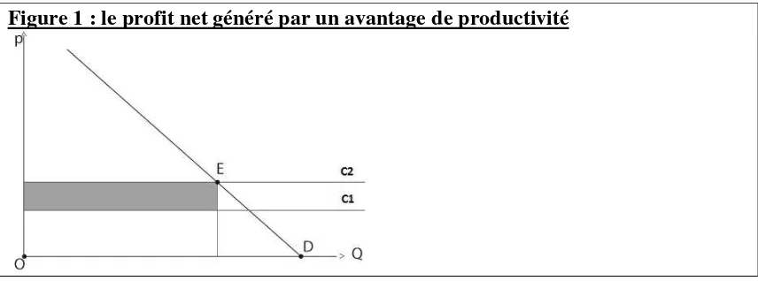 Figure 1 : le profit net généré par un avantage de productivité 