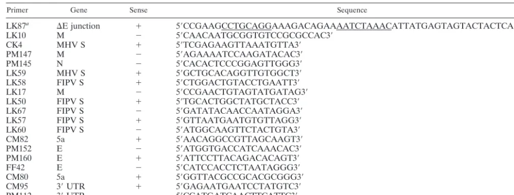 TABLE 1. Primers used in this study