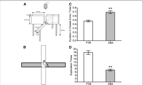 Figure 1 DBA/2 mice show higher anxiety compared to FVB/N mice.closed arms vs. total duration for each experiment in DBA/2 mice (gray bar) and FVB/N mice (white; p < 0.01, n = 12).towards the open arms for DBA/2 mice (gray bar) vs