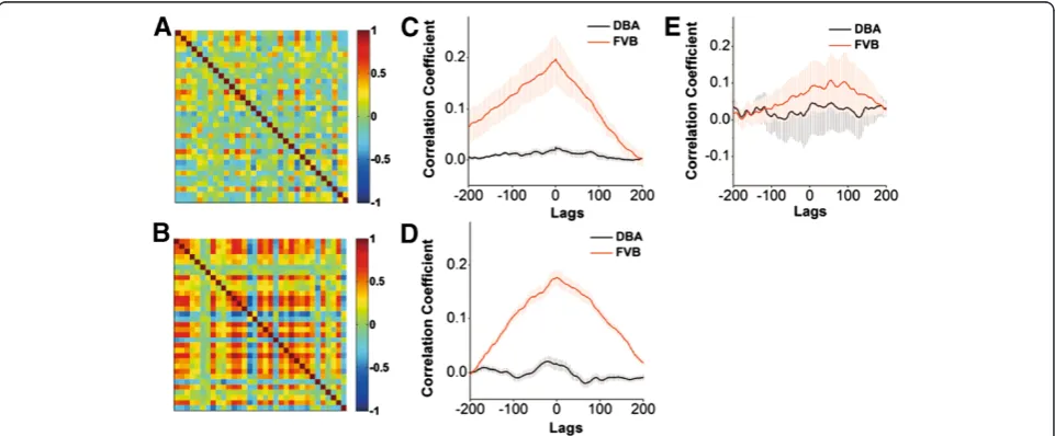 Figure 2 The activity strength of amygdala neurons is not different in DBA/2 and FVB/N mice