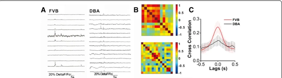 Figure 4 The activities of amygdala neurons are less synchronous in DBA/2 mice than in FVB/N mice