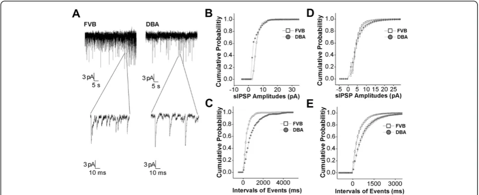 Figure 6 GABAergic synaptic transmission is low in the amygdala neurons of DBA mice. Spontaneous GABAergic inhibitory postsynapticcurrents (IPSC) were recorded by whole-cell clamp at the amygdala neurons of brain slices from DBA/2 anxiety mice and control 