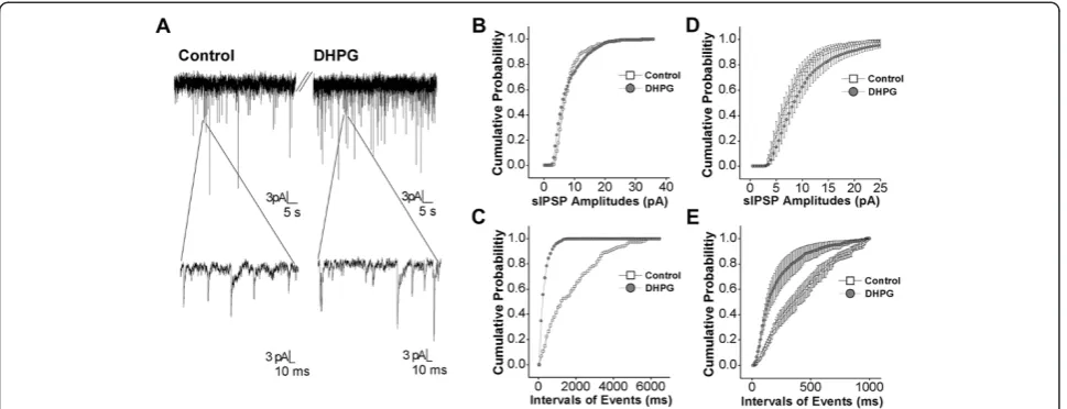 Figure 9 3,5-DHPG enhances GABAergic synaptic transmission in the amygdala neurons of DBA mice