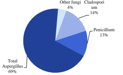 Figure 4. Percentage of fungi isolated in old  water distribution system 