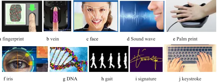 Figure 1. Biological characteristics image. 