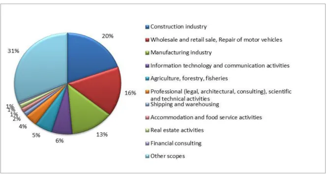 Figure 1.: The Composition of the Sample of Companies by Scopes of Business