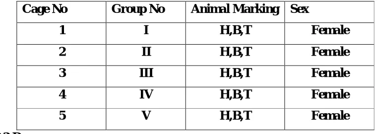 Table-2 Numbering and Identification 