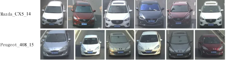 Figure 6.  Some annotated vehicle samples. 