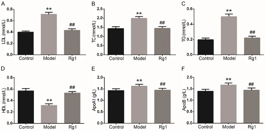 Figure 4. The antioxidant status of the steroid-induced ONFH rats. The SOD, G6PDH, and CAT activities were sig-nificantly higher in the Rg1 group than the model group (A-C)