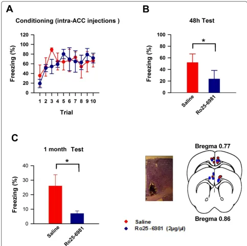 Figure 3 GluN2B subunit activity within the ACC is necessary for trace fear learning. (A) Mice exposed to bilateral 0.5 μl infusions into theACC of either Ro25-6981 (2 μg/μl) or saline 15 minutes prior to trace fear training exhibited similar learning curv