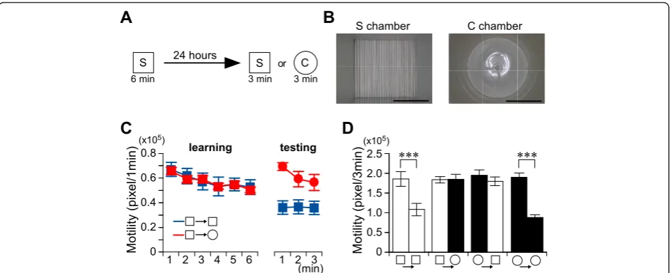 Figure 1 Mice discriminate places in non-associative place recognition test. A, Experimental design