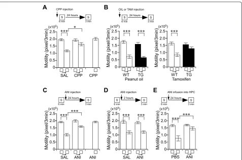Figure 2 Place memory formation requires NMDA receptor function, CREB-mediated transcription, and protein synthesis in theformation