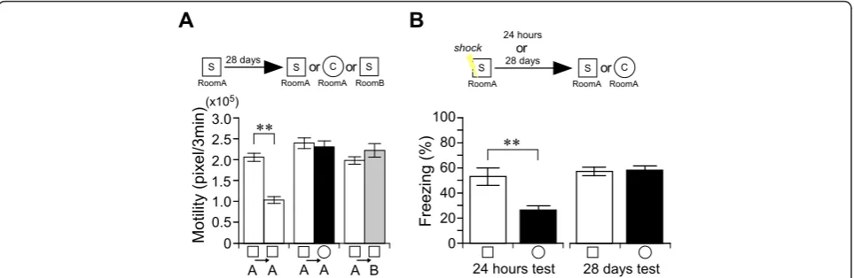 Figure 3 The precision of non-associative place memory does not decline with timechamber S/Room A (white bar), or chamber C/Room A (black bar), or chamber S/Room B (gray bar)