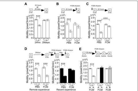Figure 4 The retrieval and precision of remote, but not recent, place memory does not require hippocampal functionfirst 3 minutes during the learning and testing session