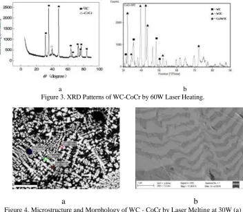 Figure 4. Microstructure and Morphology of WC - CoCr by Laser Melting at 30W (a) is a a                                                              b SEM image of the bulk, and (b) is an enlarged view of the scale-like morphology of (a)