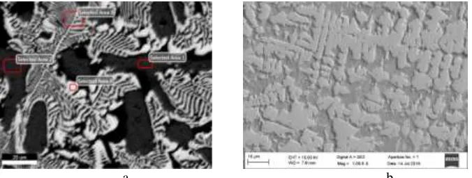 Figure 5. Microstructure and Morphology of WC - CoCr by Laser Melting at 60W(a) shows a                                                                          b the SEM image of the WC-CoCr system at 10000x magnification, and (b) shows an enlarged view 