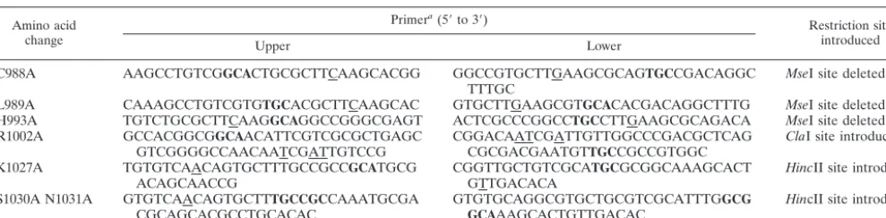 TABLE 1. Oligonucleotides used in the construction of zinc ﬁnger mutants