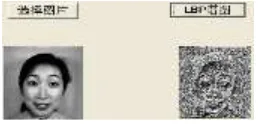 Figure 1. LBP Feature rendering.  