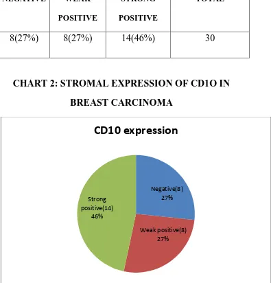 TABLE  2: STROMAL EXPRESSION OF CD1O IN  