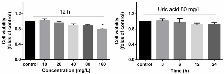 Figure 1. Effect of uric acid on the viability of HUVECs. The cells were incubated with the different concentrations of uric acid for 12 h or with the concentration of uric acid 80 mg/l for 0, 3, 6, 12 and 24 h