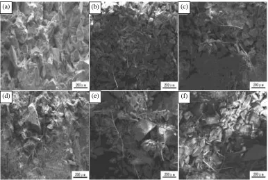 Figure 1. Fracture microstructure of composite fiber reinforced silica sol shell samples   with different contents 