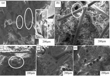 Figure 2. Fracture microstructure of composite fiber reinforced shell with different ratio  （（a）100% ceramic fiber；(b) 75%: 25% ceramic fiber: nylon fiber; (c) 50%: 50% ceramic fiber: nylon fiber; (d) 25%: 75% ceramic fiber: nylon fiber ; (e) 100% nylon fi