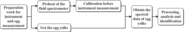 Figure 1. The measurement process of the spectral characteristic of egg yolks. 