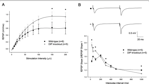 Figure 3 Altered synaptic properties in DIP/WISH-deficientmicea short-term form of presynaptic plasticity, is notably altered in DIP knockout mice