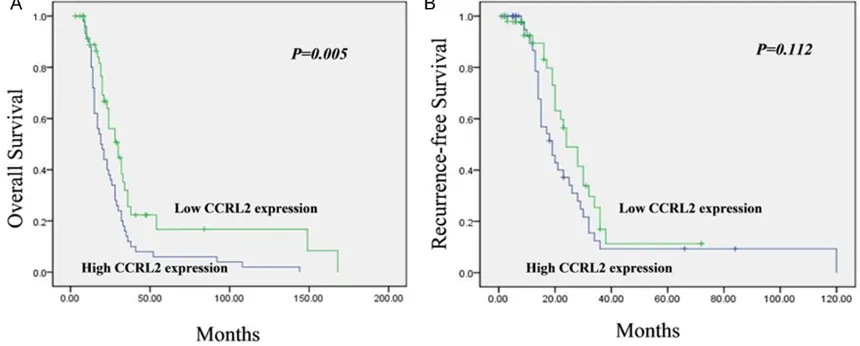 Table 2. Multivariate Cox proportional hazard analysis for factors affecting overall survival and recurrence-free survival of patients with bladder cancer