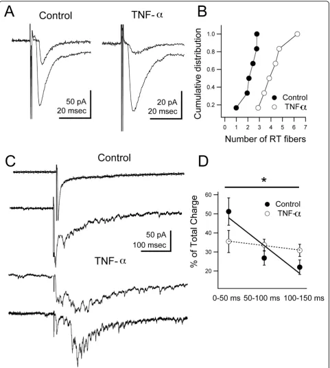 Figure 7 Long-term developmental exposure to TNF-retinotectal inputs per cell, consistent with lack of developmental refinement