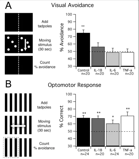 Figure 1 Visual avoidance is impaired by chronic cytokine treatment. (A) Control tadpoles and tadpoles reared in IL-1b, IL-6 and TNF-awere tested for normal visual avoidance behavior