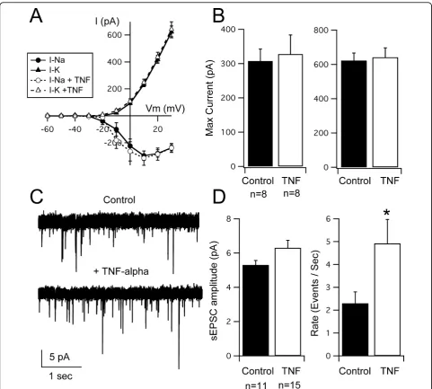 Figure 3 Acute effects of TNF-(pA) of Naneurons acutely (approximately 1 h) treated with TNF-a application on voltage-gated currents and spontaneous synaptic transmission in tectal neurons