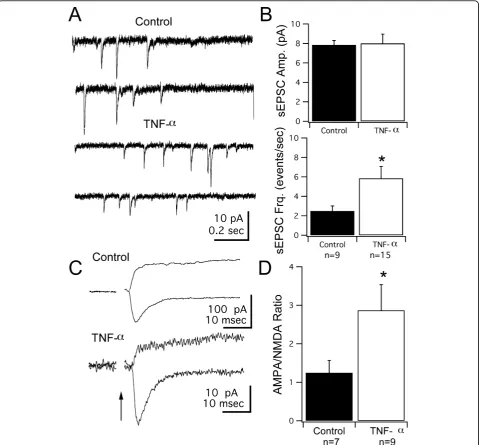 Figure 5 Long-term developmental exposure to TNF-a enhances AMPAR-mediated synaptic transmission