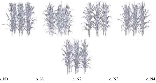 Figure 5. Visualization of reconstructed geometric models of five treatment maize canopies